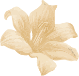 Safeway Wellness Spa and Salon